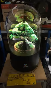 Voxel Photonics
